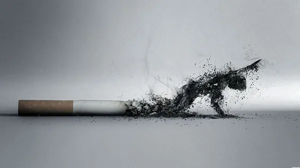 Hoa Kỳ thiết lập mức nicotine tối đa được sử dụng trong thuốc lá
